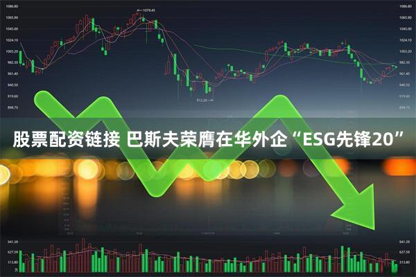 股票配资链接 巴斯夫荣膺在华外企“ESG先锋20”