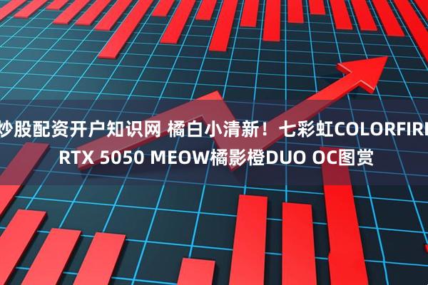 炒股配资开户知识网 橘白小清新！七彩虹COLORFIRE RTX 5050 MEOW橘影橙DUO OC图赏