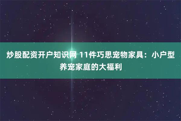 炒股配资开户知识网 11件巧思宠物家具：小户型养宠家庭的大福利