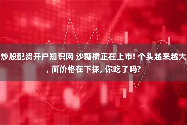 炒股配资开户知识网 沙糖橘正在上市! 个头越来越大, 而价格在下探, 你吃了吗?